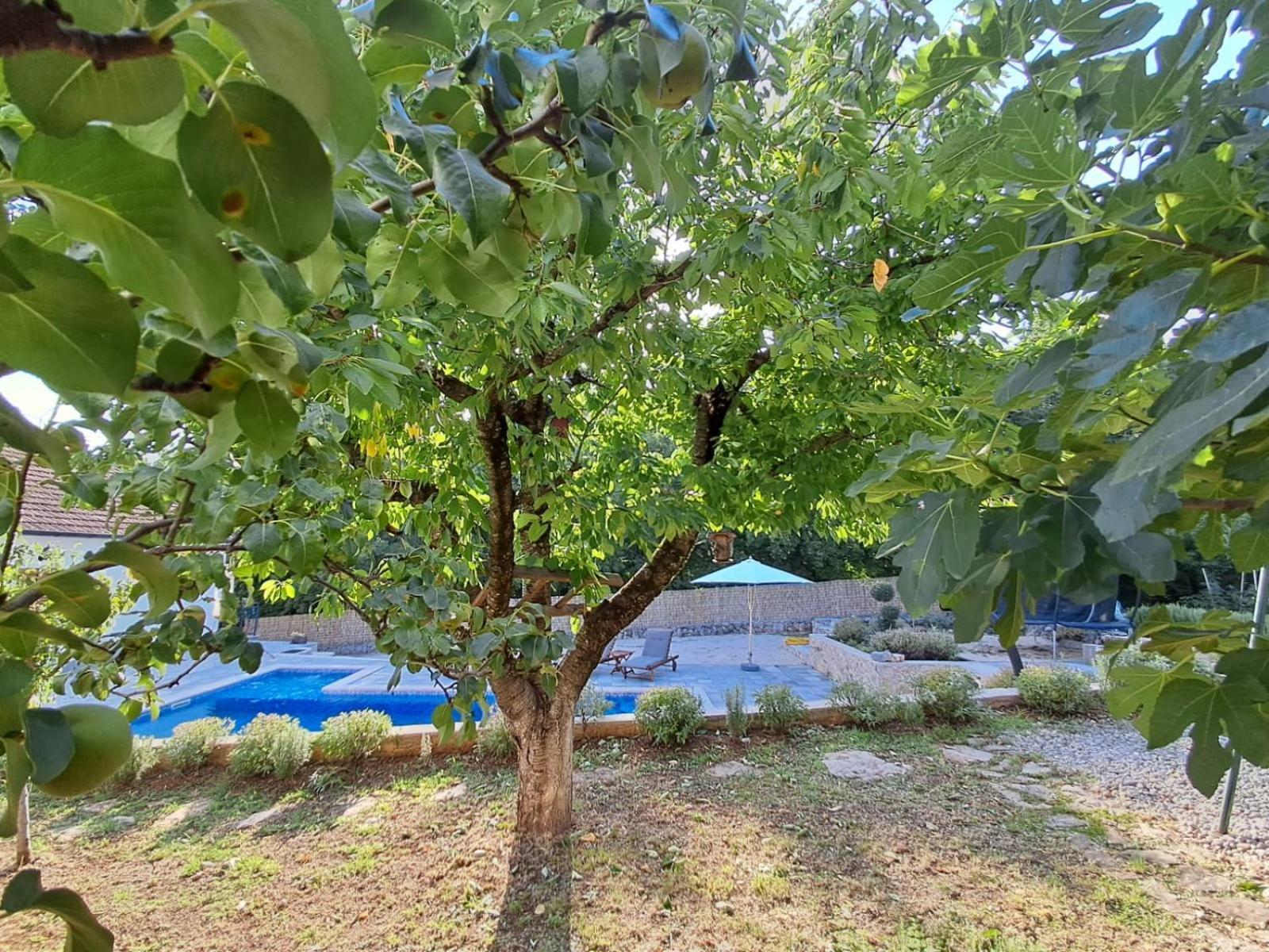 Holiday Home Tone, Makarska - Drum ภายนอก รูปภาพ